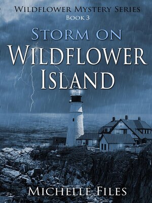 cover image of Storm on Wildflower Island